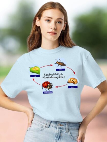 Ladybug Life Cycle Comfort Colors T-shirt